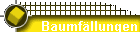 Baumfllungen